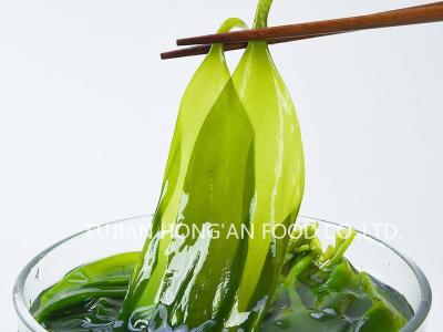 China HACCP-gecertificeerde groene umami kelp spruiten voor Japanse en Koreaanse restaurant voedzame salades en soep Te koop