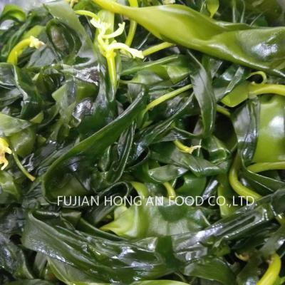 China Vitamin Rich Sea Organic Edible Kelp Fronds Umami Sea Vegetable For Salads Or Stir fries for sale