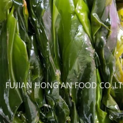 China Groene Kelp Sprouts Rijk Umami smaak Gedroogde Japanse Kombu Laminaria Japonica HACCP gecertificeerd Te koop