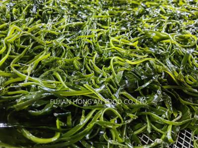 China Gedroogde Koreaanse Kombu Kelp Sprouts Zeegroenten met Umami smaak HACCP goedgekeurd Te koop