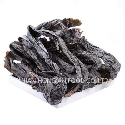 China Authentic Dried Kombu Kelp Umami Taste Compressed Kelp Salted Sprouts for sale