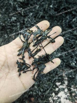 China Porphyra Laver Seaweed Purple Rich Nutrient Superfood For Chinese Cuisine for sale