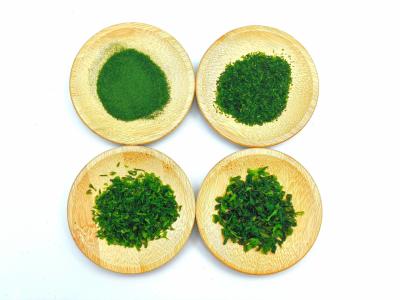 China Dried Edible アオサ Algae Seaweed Japanese Sea Lettuce Powder Flake 50g for Adding Flavor on Dishes for sale