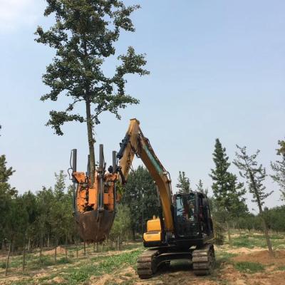 China Farms Factory Supply Tree Transplanter Tree Shovel for Excavator and Skid Beef Loader for sale