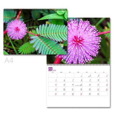 China Table Calendar Taiwan Factory June Holiday Calendar 2021 for sale