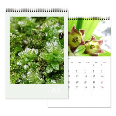 China Table Calendar 2021 Full Color Editorial Mini Astrology Calendar for sale