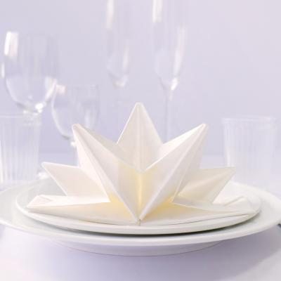 China Quality Casual Paper Napkins Pre Folded Napkins For Wedding Party for sale