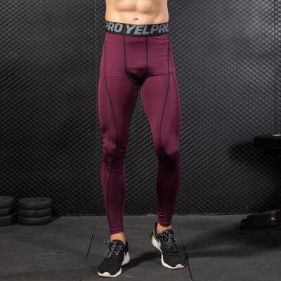 China Wholesale Customized QUICK DRY Men's Fitness Quick-Dry Running Comfortable Breathable Training Sports Wear/Pants/Trousers/Tights for sale