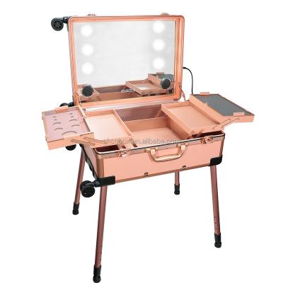 China Professional Fashion Makeup Case Rose Gold Makeup Station Aluminum Rolling Makeup Case With Lights for sale