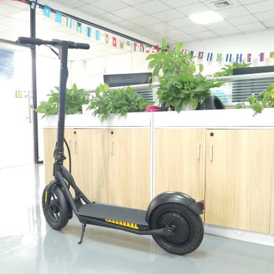 China Hot Sale 500w Unisex Electric Scooter Warehouse EU USA Warehouse Best 500w Powerful Adult Electric Scooters Wholesale Best Scooters 12inch for sale