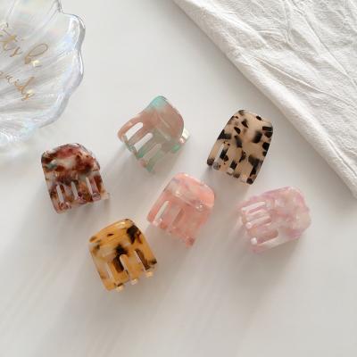 China Popular Type Colorful Fashionable Girls Hair Clips New Princess Hair Clips For Small Size Hair Claws Small for sale