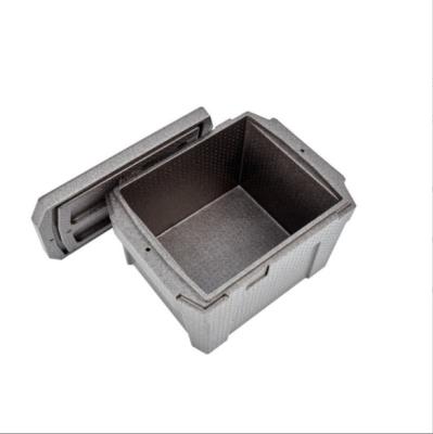 China Modern Minimalist PPE Cold Aluminum Mold For Camping Packing Boxes Cold Chain Cooler Black Plant Custom Polypropylene PPE Foam Box for sale