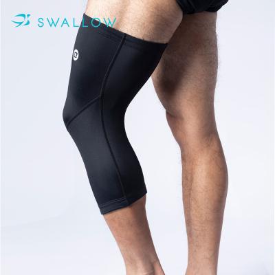 China Adult Winter Thermal Breathable Compression Knee Pad SWALLOW Custom Knee Sleeve for sale