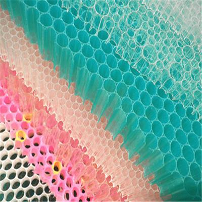 China Plastic Honeycomb Panel Production Line, Honeycomb Board PP Bubble Board Machine Te koop