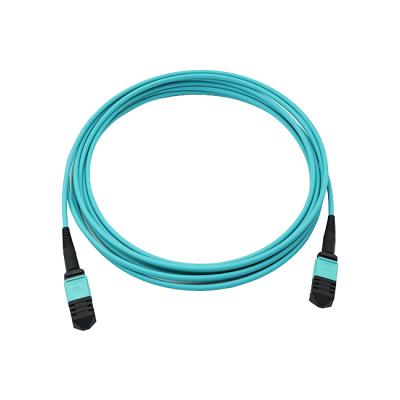 China FTTH OM3 24 Core Mm MPO Male - LC Fiber 0.9mm Fanout Patch Cables 30cm MPO Patch Cable Assemblies for sale