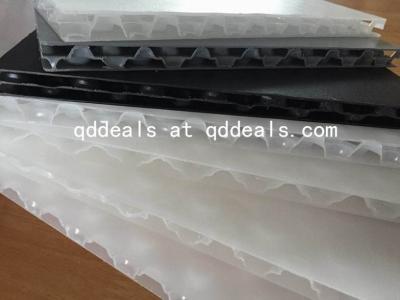 China Manufacturer China Hot Sale Low Price PP Bubble Honeycomb Board for sale