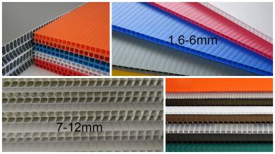 China Factory Price 2440x1220 4x8 2mm 3mm 5mm PP Fluted Sheet, Flute Board for sale