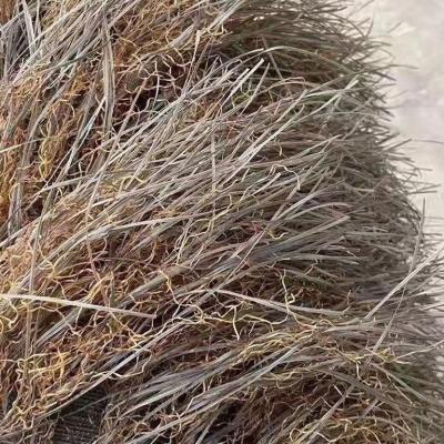 China Fluffy And Dense Provided By Manufacturer Environmental Friendly Mosquito Repellent Walk Pavilion Thatched Roof Carpet Thatched Tile for sale