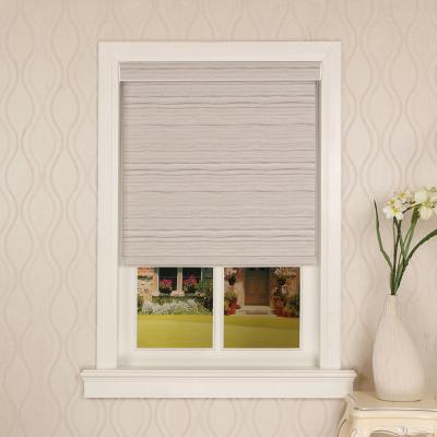 China New Design Modern Shade Window Cordless Manual Roller Blind Privacy Curtain for sale