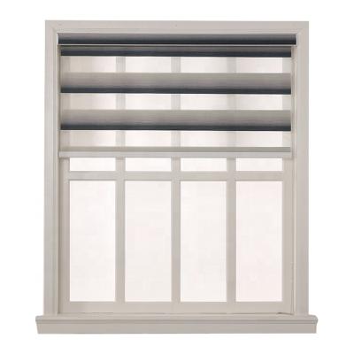 China Professional Home Decor Blinds Double Window Zebra Roller Shades Supplier Bedroom Combi Online for sale