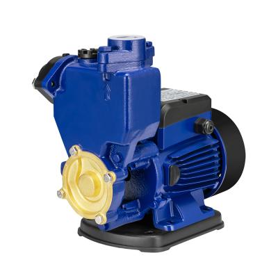 China Family Houses AC 220v Automatic Vortex Clean Water Pressure Booster Pump For Home for sale