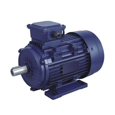 China Fully Enclosed Speed ​​Control YX3 Series Three Phase AC Electric Asynchronous Motor for sale