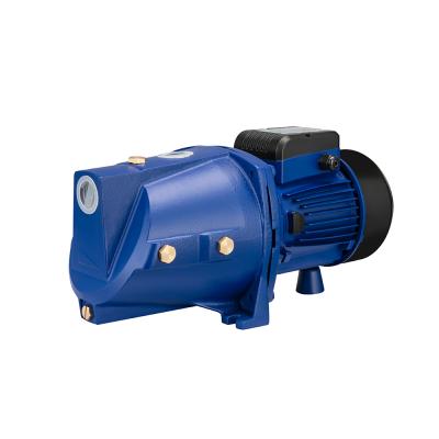 China Family Homes MJSW Series 1.5hp Electric Motor Water Jet Pump for sale