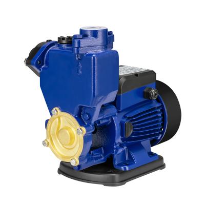 China Family Homes MQS Series Automatic Self Priming Vortex Pump for sale