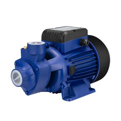 China MKP 60 family homes MARKERS home use electric motor water pump for sale for sale