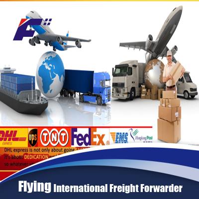 China professional service from usa to shenzhen customs clearance service sea freight for sale