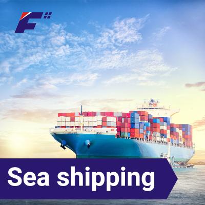 China DDP Amazon FBA Freight Forwarder USA Freight Agent tranporter Guangdong Sea Freight to USA Lcl Sea Freight for sale