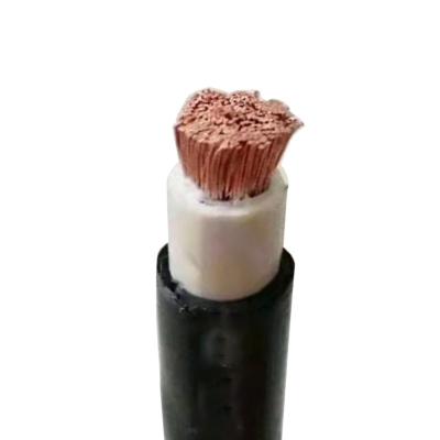 China National standard RVVZ copper core and Ca single core flexible cable 4/6/10/16/25/35/50 square wire electrical engineering manufacturer direct sales for sale