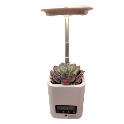 China Factory Direct Sale New Modern Smart Decor Gifts Indoor Usb Indoor Desk Lamp Led Flowerpot With Humidifier Electronic Timing for sale