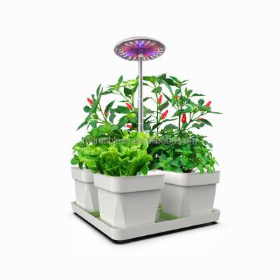 China Indoor Moreshine Desktop Hydroponic Growing System With Indoor Smart Soil Grow Light Hydroponics Herb Growing Kit Garden Lamp System for sale