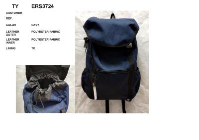 China ERS3724 Water Repellent Polyester Fabric Hiking Backpack Bag With Customized Logo for sale