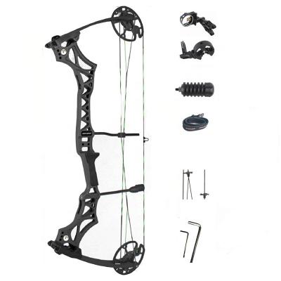 China SHOOTING 2022 outdoor sports shooting archery compound bow Alex to Alex 32