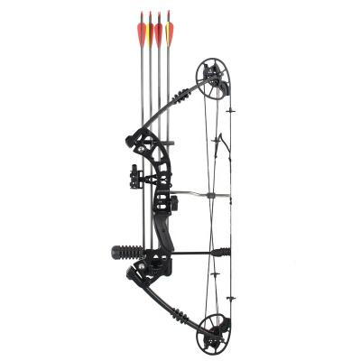 China Hunting Recurve Adult Start Compound Bow Draw Weight 30lb-70lb IBOS 320FPS for sale