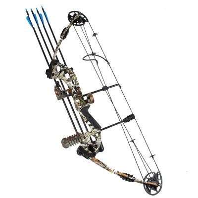 China Compound Bow Hunting Compound Bow For Beginner Draw Length 24-29.5