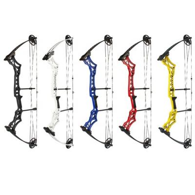 China Suction Weight 30-55lb Target Compound Bow Shooting Archery Shooting Outdoor Adventure For Fun Alex to Alex 40