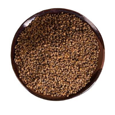 China Original Style Dry Color Weight Brown Packaging Type Bulk Size Dried Place Model HACCP Relationship Broken Buckwheat Cultivation Process for sale