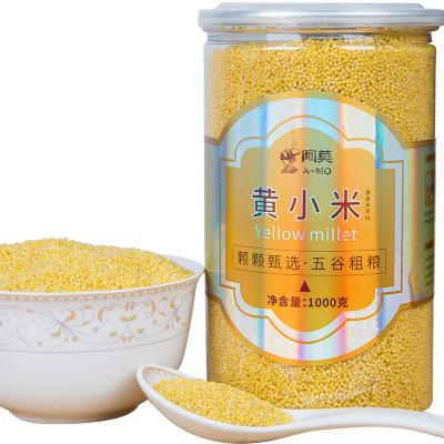 China China Manufacturer Dried Organic High Quality Yellow Millet Cereal Grain Products 1 Kg Packing for sale