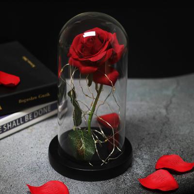 China Valentine's Day Gift Natural Preserved Rose Eternal Flower With LED Light for sale