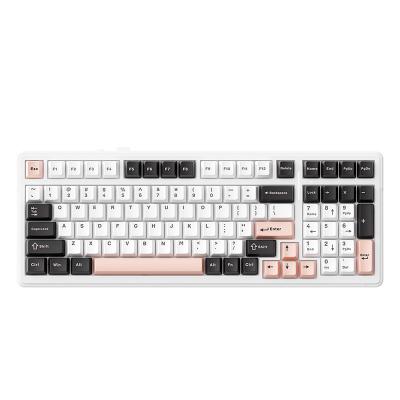 China New arrivals ALUA F99 gaming keyboards DIY RGB backlit 99 keys wireless keyboard PC positioning plate KEYBOARD No for sale