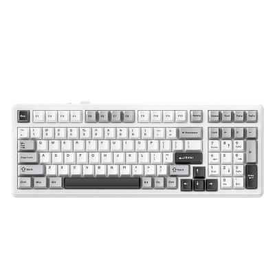 China New arrivals ALUA F99 gaming keyboards DIY RGB backlit 99 keys wireless keyboard No for sale