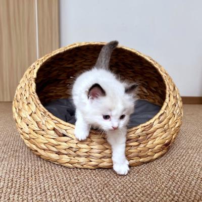 China Rattan Comfort Table Pet House Semicircle Water Hyacinth Pet Nest Woven Cat Viable Nest for sale