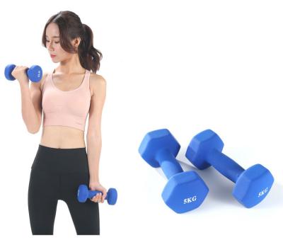 China BunnyHi YL036 Hex Mancuernas Pesas Para Ejercicios Anti-Slip Hand 20 Pound Vinyl Weight Dumbbells Set For Home Women for sale