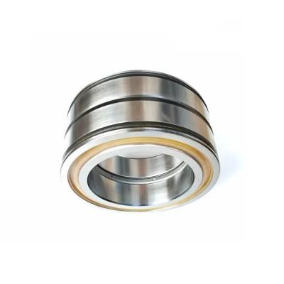 China Double Row Full Complement Cylindrical Roller Bearing SL04 5006PP2NR for Rolling Mill for sale