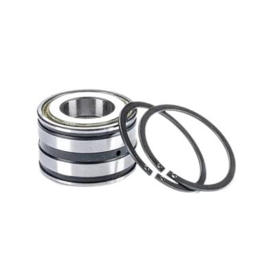 China Automotive Complement SL04 5007 PP2NR Roller Bearings for Durability for sale