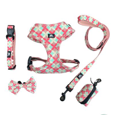 China Fashion Design Luxury Custom Printing DETACHED Adjustable Padded Dog Harness Collar Leash Set for sale