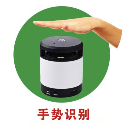 China Reconocimiento Bluetooth del gesto que camina el cilindro recargable de los Presidentes de Bluetooth del Presidente en venta